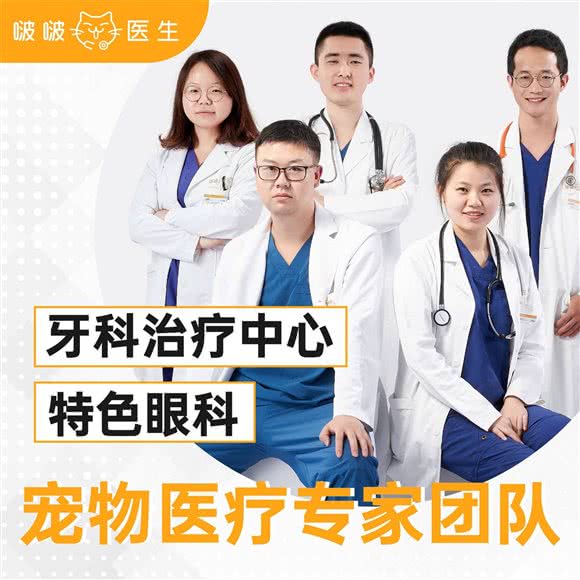 啵啵外科医生宠物医院:杭州市余杭区海创园附近