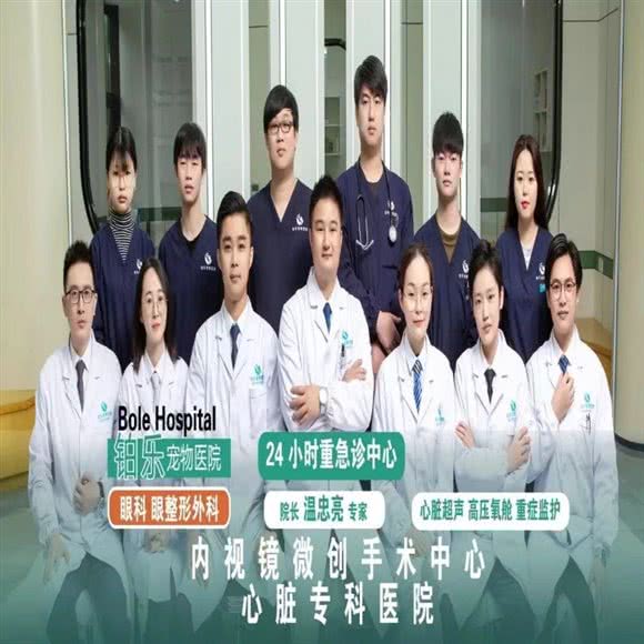 铂乐宠物诊疗中心24小时(海创园中心院):杭州市余杭区海创园附近