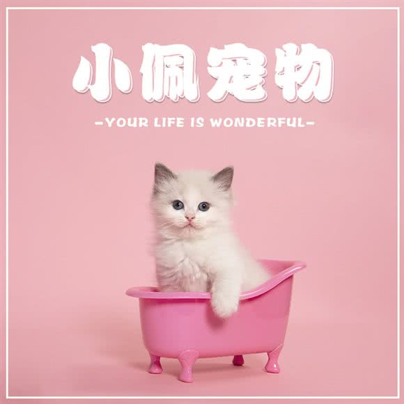 PETKIT小佩宠物(良渚店):杭州市余杭区良渚附近