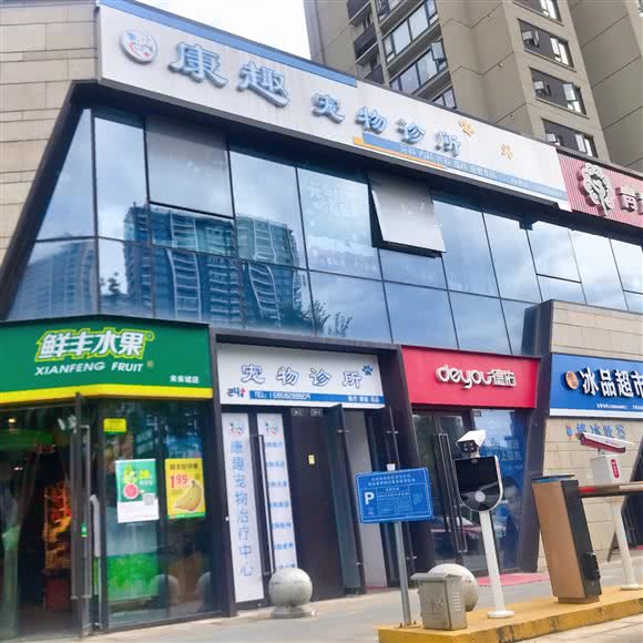 康趣宠物医院:杭州市余杭区良渚附近
