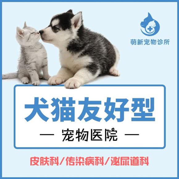 萌新宠物医院:杭州市余杭区仓前附近
