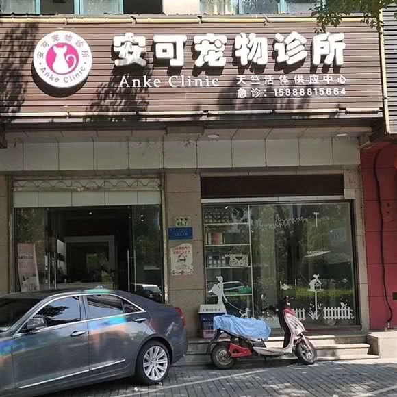 富阳安可宠物诊所:杭州市富阳区富春街道附近