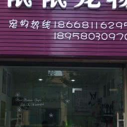 依依宠物店:杭州市临安区锦城街道附近