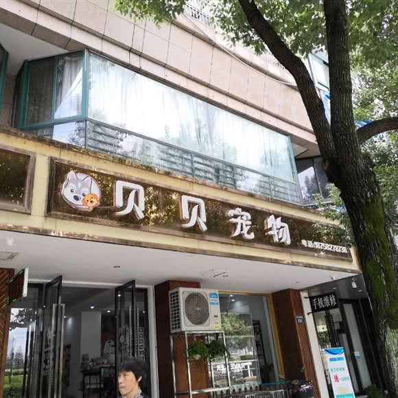 贝贝宠物:杭州市临安区锦城街道附近