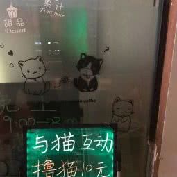 宠小喵宠物店:杭州市钱塘区下沙附近