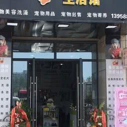多拉狗狗:杭州市钱塘区下沙附近