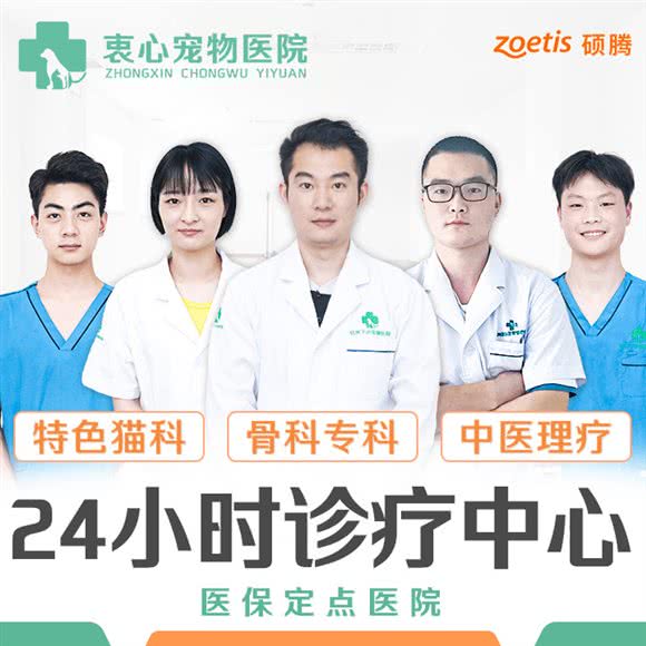 衷心宠物医院·24小时·骨科中心·现代医学理疗:杭州市钱塘区下沙附近