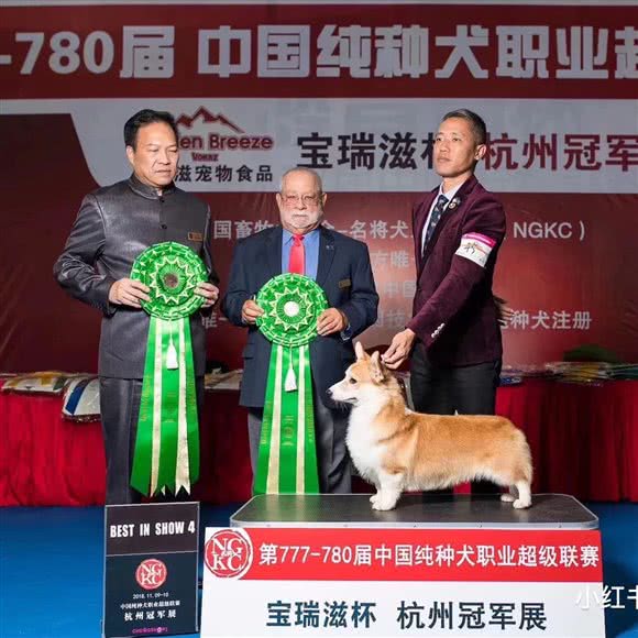 麦都格宠物(大江东中心店):杭州市钱塘区义蓬购物中心附近