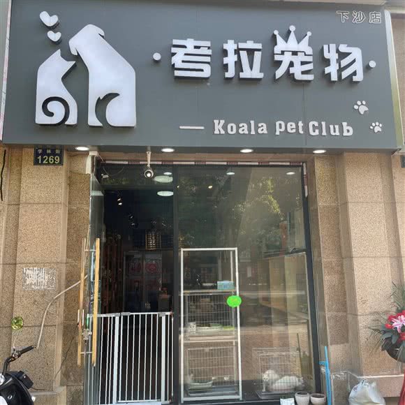 考拉宠物:杭州市钱塘区高沙商业街附近