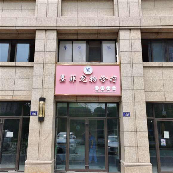 墨菲宠物医院:杭州市钱塘区南阳河庄附近