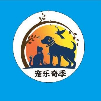 宠乐奇季生活馆:杭州市临平区临平附近