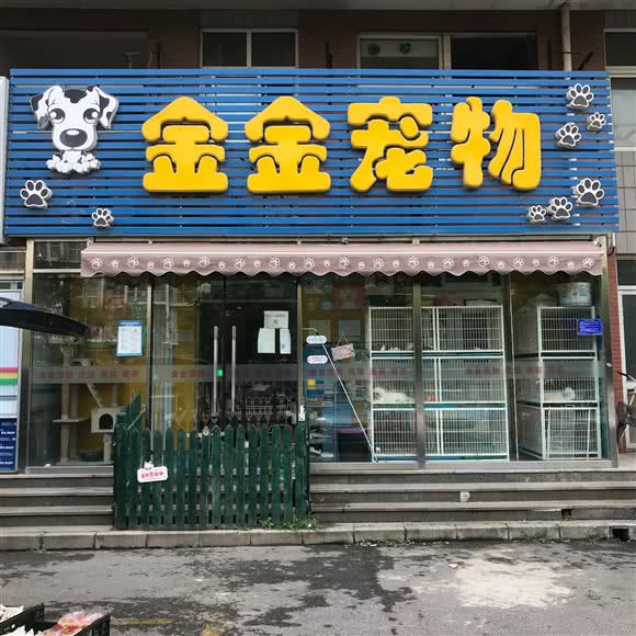 金金狗狗:北京城区昌平区回龙观附近