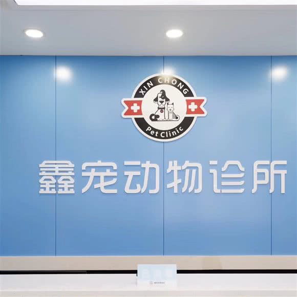 鑫宠动物诊所:杭州市临平区临平附近