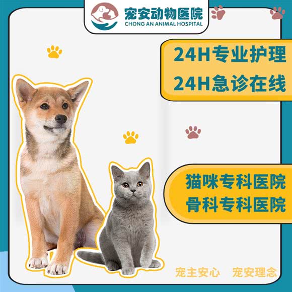 宠安动物医院24小时·神经外科·猫科:杭州市临平区临平附近