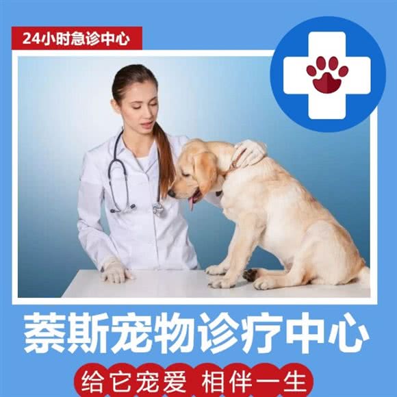 奈斯宠物医院:杭州市临平区塘栖附近