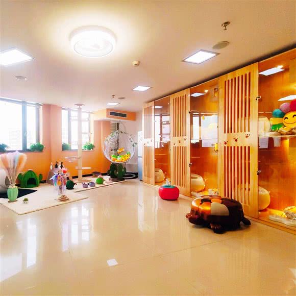 遇见喵·猫咪寄养酒店:北京城区昌平区回龙观附近