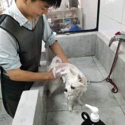 猫富贵私宠生活馆:杭州市临平区余之城购物中心附近