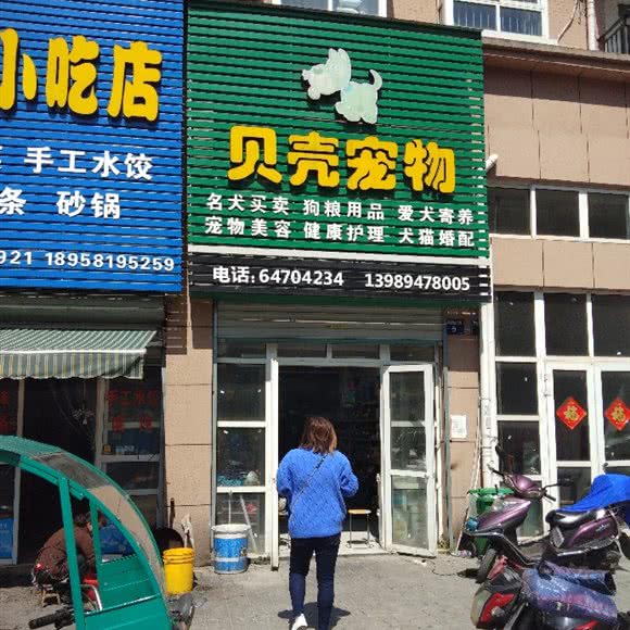 贝壳宠物:杭州市建德市新安江街道附近