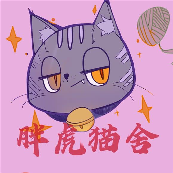 胖虎猫舍·高端缅因布偶猫:宁波市海曙区天一广场附近