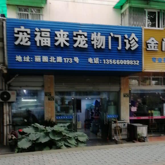 宠福来宠物门诊:宁波市海曙区西门口附近