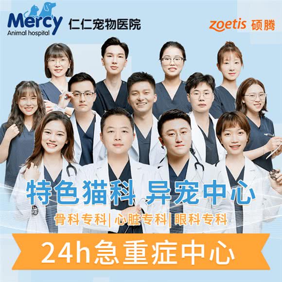 仁仁宠物医院(南塘诊疗中心):宁波市海曙区南塘老街附近