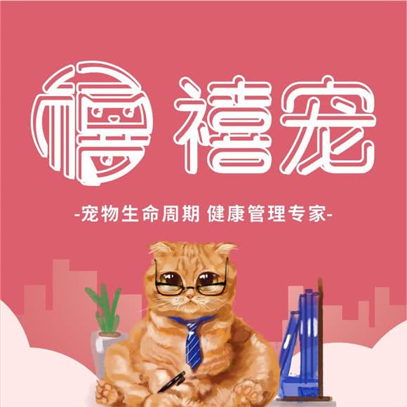 禧宠:宁波市海曙区城隍庙附近
