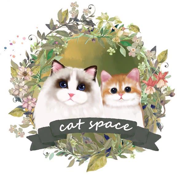 猫空间:宁波市海曙区环城西路北段附近