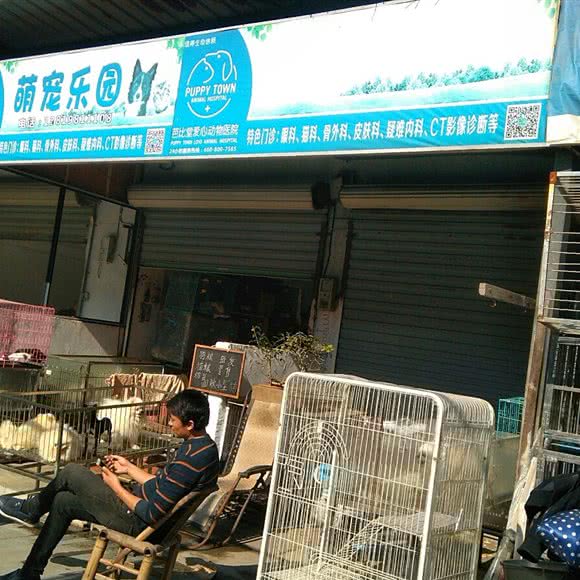 萌宠乐园(悠云路店):宁波市海曙区环城西路北段附近