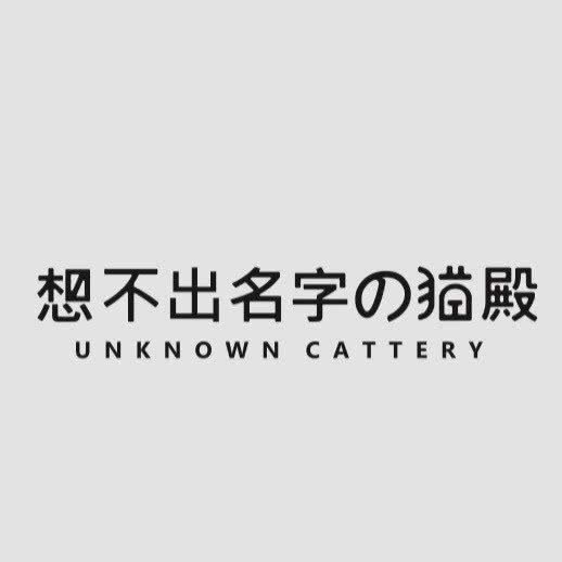 猫殿:宁波市江北区江北万达广场附近