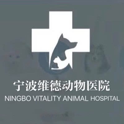 嘉兴维德动物医院:宁波市江北区江北万达广场附近