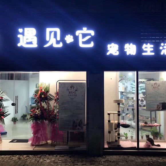 遇见它宠物狗生活馆·猫咪售卖:宁波市江北区洪塘中心附近