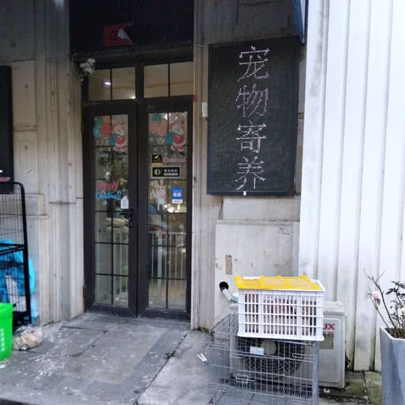 宠物寄养:宁波市北仑区北仑银泰城附近