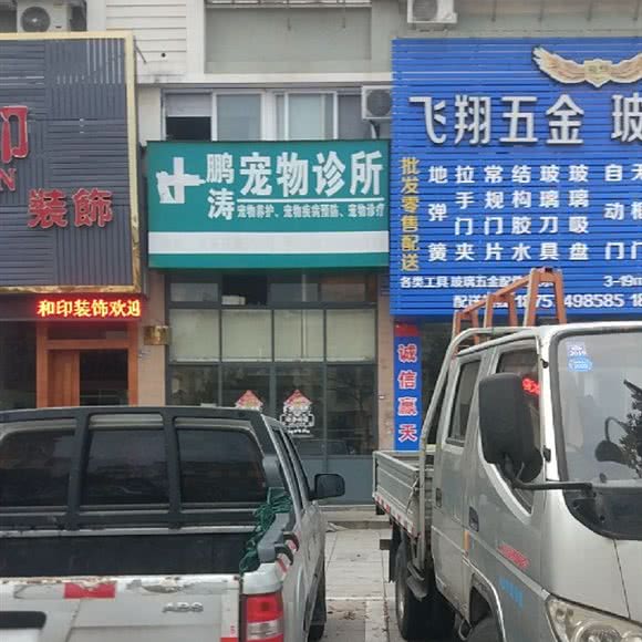 鹏涛宠物诊所:宁波市北仑区新大路沿线附近