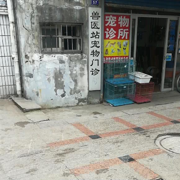 兽医站宠物门诊:宁波市北仑区小港街道附近