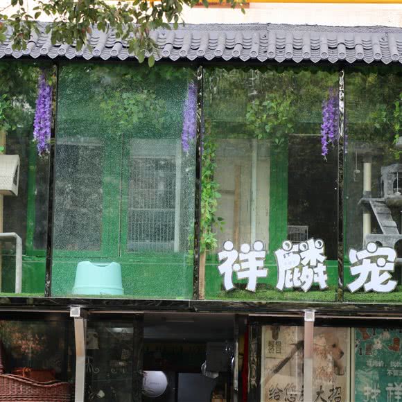 祥麟宠物用品:宁波市北仑区大碶附近