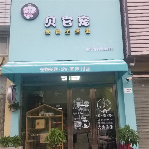 贝它宠宠物生活馆:宁波市北仑区北仑中学附近
