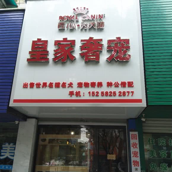 英国皇家奢宠:宁波市北仑区高潮村附近