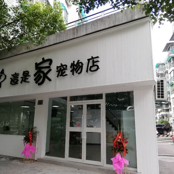 这是家宠物店(曙光店):宁波市鄞州区和丰创意广场附近