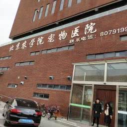 北京林学院宠物医院:北京城区昌平区回龙观附近