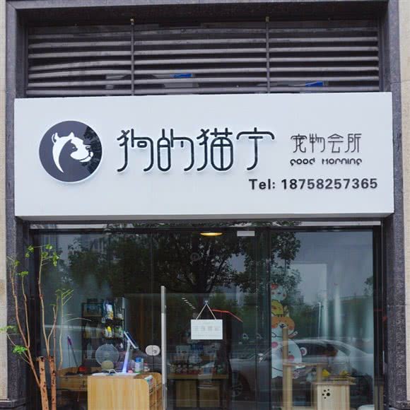 狗的猫宁宠物会所:宁波市鄞州区南部商务区附近