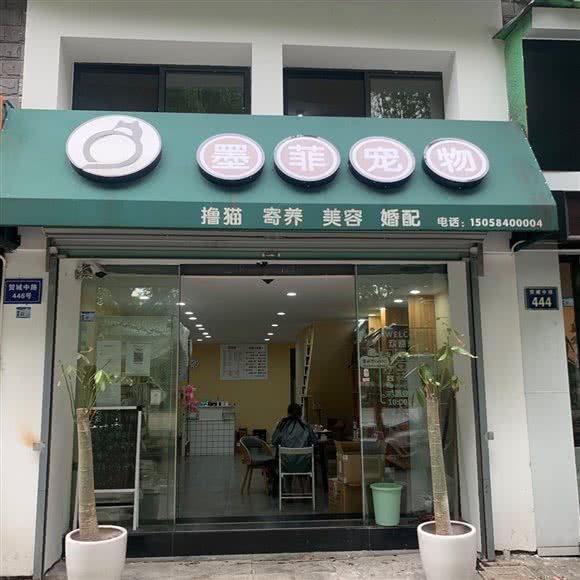 墨菲宠物:宁波市鄞州区鄞州高教园区附近