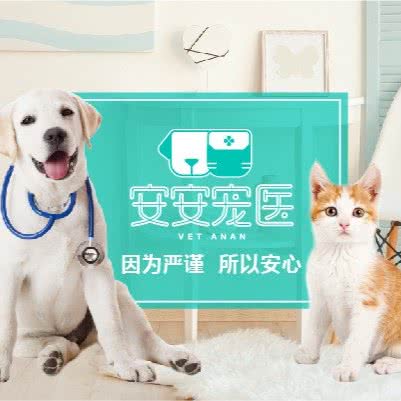 安安宠医奢爱美容师培训学校:宁波市鄞州区国际会展中心附近