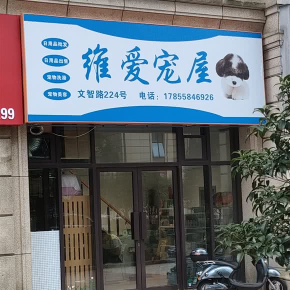 维爱宠物:宁波市鄞州区高新区附近