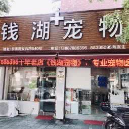 钱湖宠物:宁波市鄞州区东钱湖附近