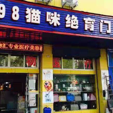 198猫咪绝育门诊:北京城区昌平区回龙观附近