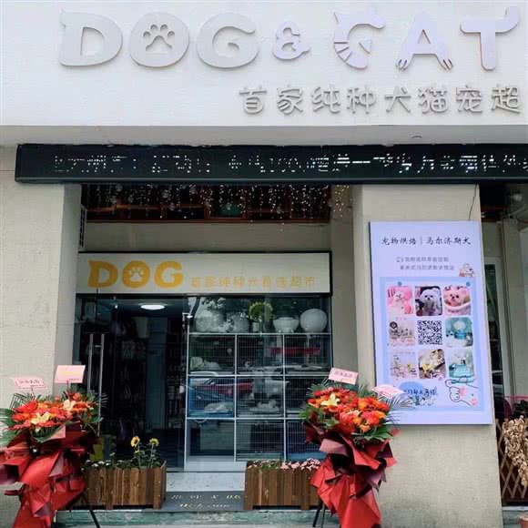 Dog&Cat宠物超市:宁波市鄞州区明州里/联盛广场附近