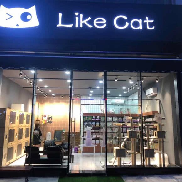 Like cat:宁波市鄞州区兴宁路附近