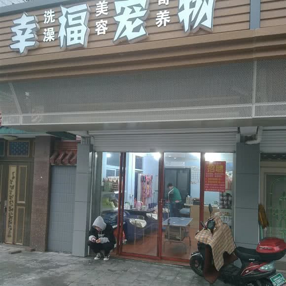幸福宠物:宁波市鄞州区姜山附近