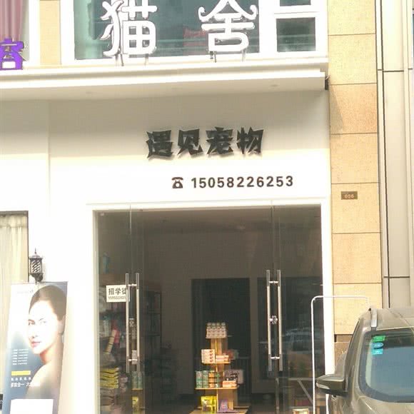 猫舍 遇见宠物:宁波市奉化区锦屏街道附近