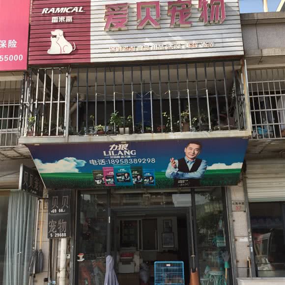 爱贝宠物:宁波市宁海县跃龙街道附近